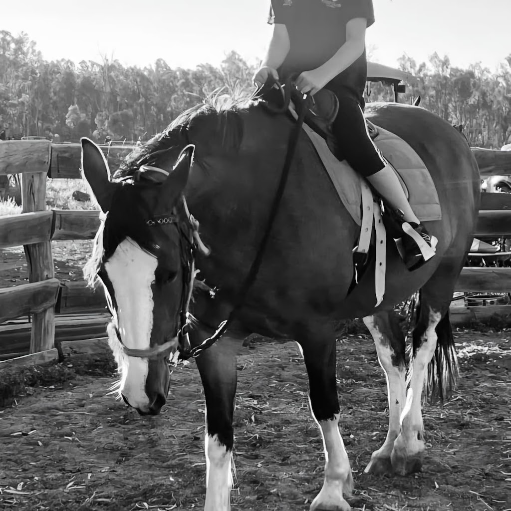 Rekcut Equine | 47 Penglase Ln, Barham NSW 2732, Australia | Phone: 0400 075 020