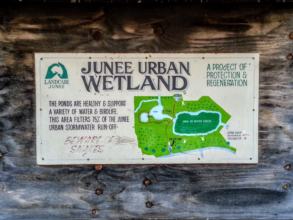 Junee Urban Wetland | Crawley St, Junee NSW 2663, Australia