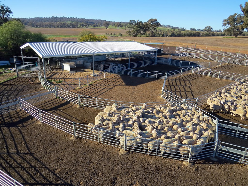 ProWay Livestock Equipment - 19 Bomen Rd, Bomen NSW 2650, Australia