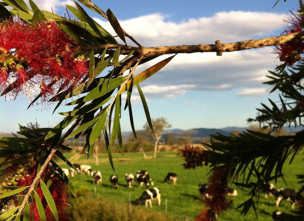 Scenic Rim Robotic Dairy |  | 9023 Mount Lindesay Hwy, Tamrookum QLD 4285, Australia | 0438414206 OR +61 438 414 206