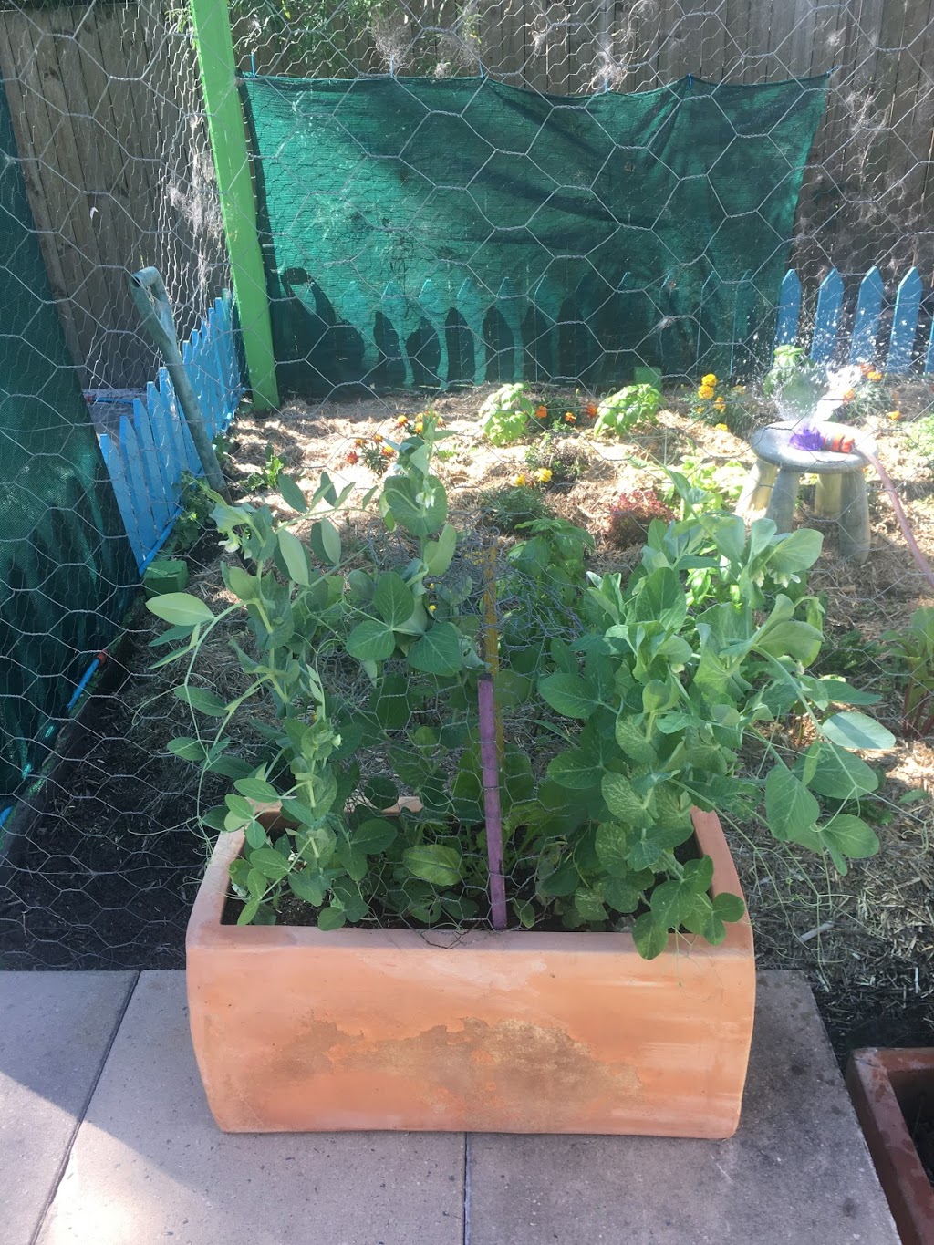 BodyAssist Sports Health (Remedial and Sports Massage) | 31 Orwell St, Brisbane City QLD 4152, Australia | Phone: 0432 843 869