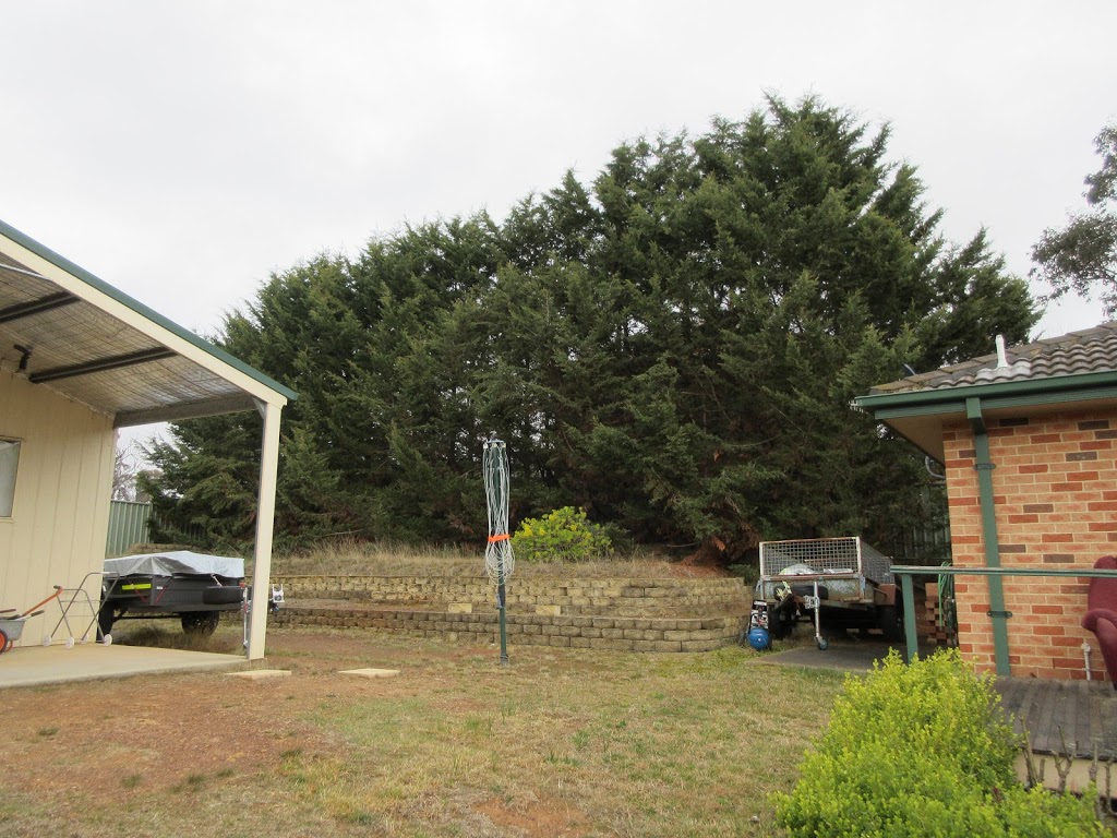 GTS TREE SERVICES pty ltd | 40 Robinson St, Goulburn NSW 2580, Australia | Phone: 0411 551 961