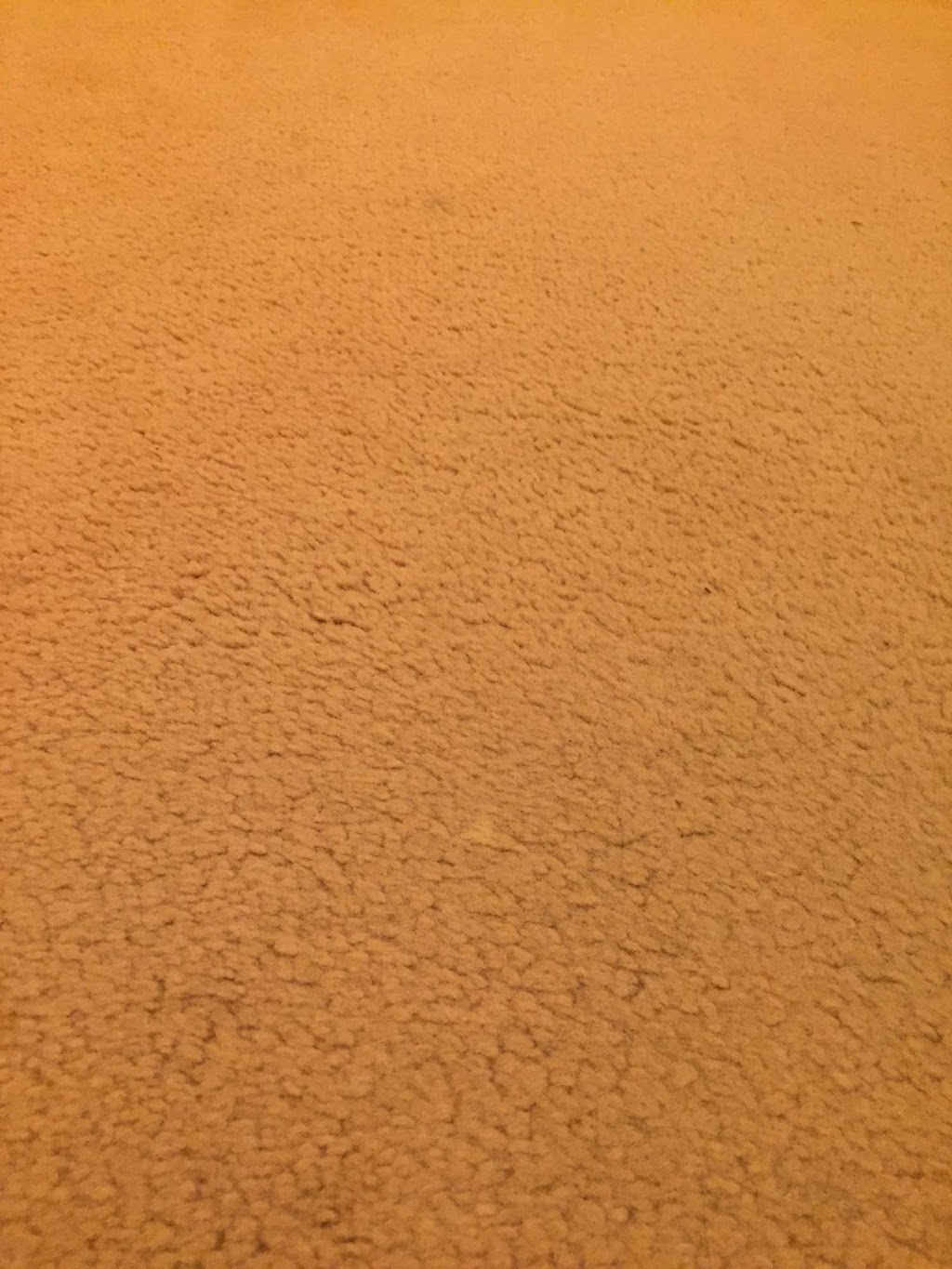 DG Carpet Cleaners | Kakadu Cres, Underwood QLD 4119, Australia | Phone: (07) 3067 8644