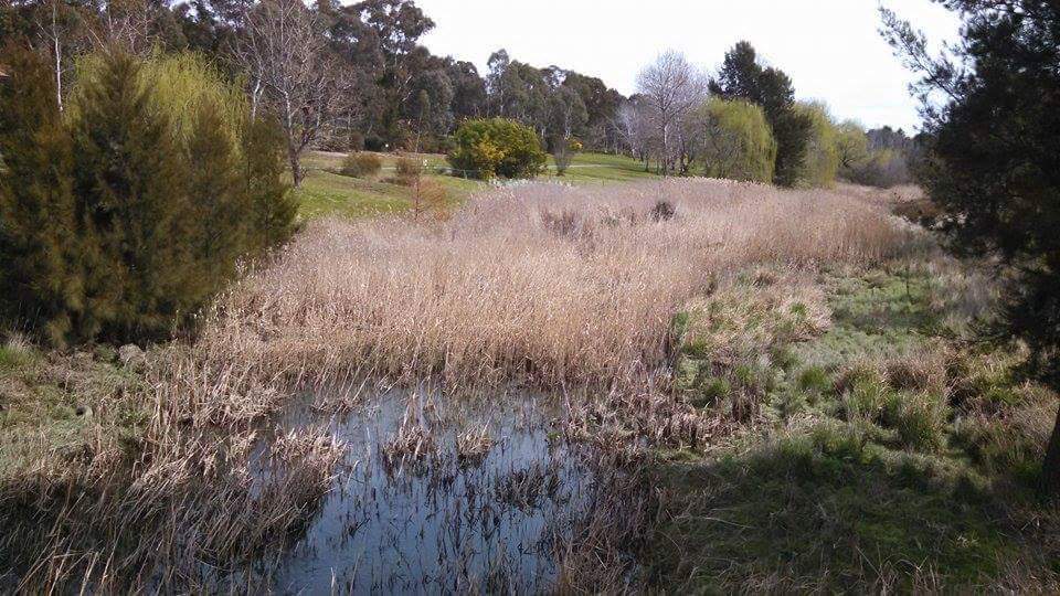 North Belconnen Community Landcare Group |  | Ginninderra Dr, Evatt ACT 2617, Australia | 0262783309 OR +61 2 6278 3309