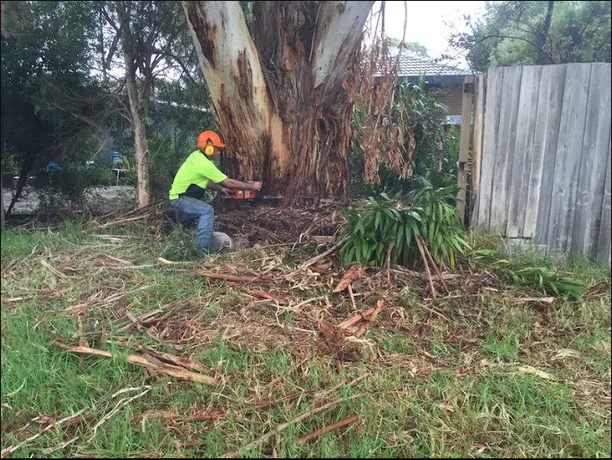 Woodstock Tree & Stump Removal | 47 Killara Rd, Coldstream VIC 3770, Australia | Phone: 0429 856 255