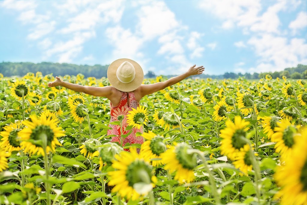 Be Calm and Relaxed Meditation | 171 Stud Rd, Wantirna South VIC 3152, Australia | Phone: 0402 669 866