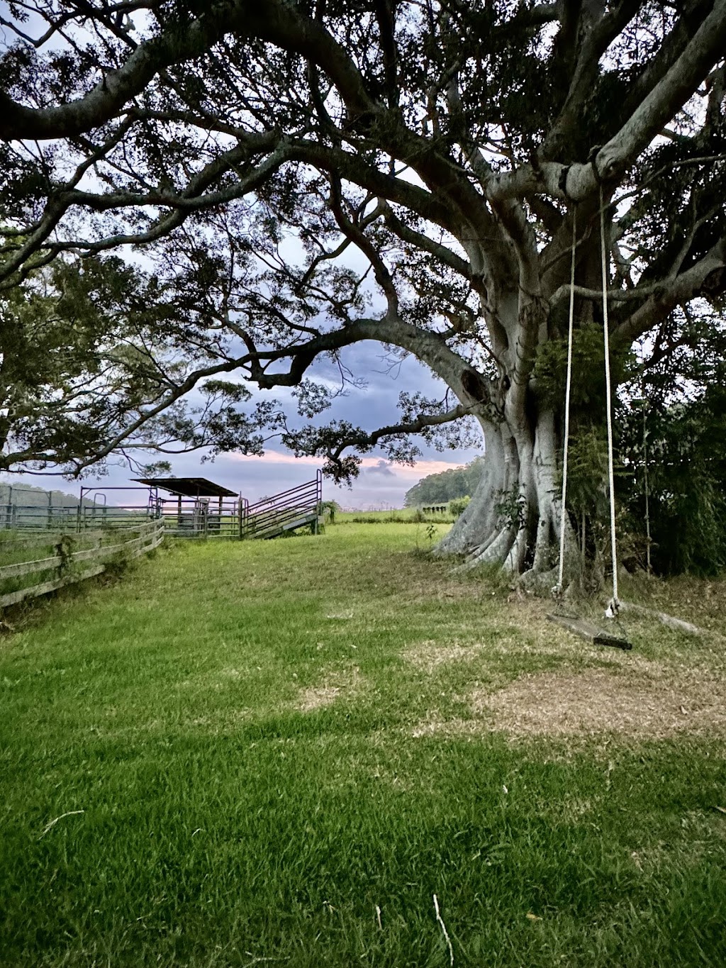 Coodellil Farm | 160 Logans Crossing Rd, Logans Crossing NSW 2439, Australia | Phone: 0432 240 073