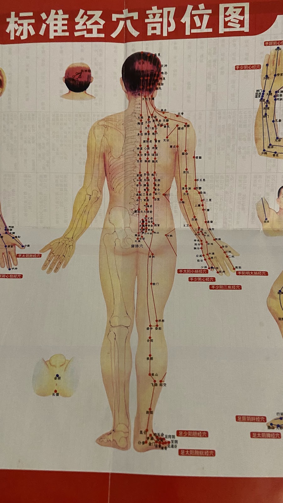 Jenny’s therapy massage | 69 Clifton Ave, Stawell VIC 3380, Australia | Phone: 0455 633 570