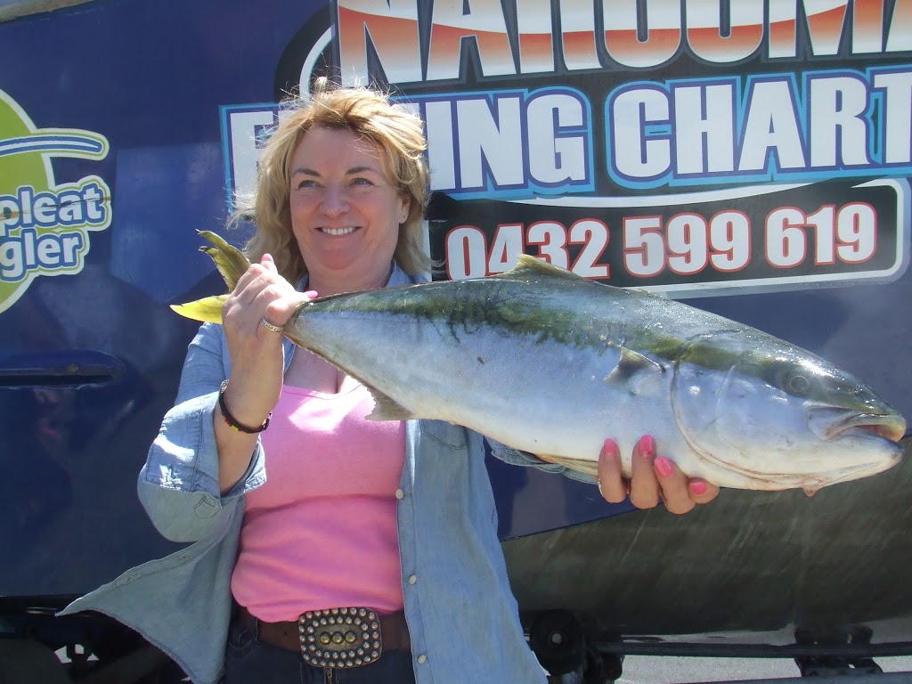 Narooma Fishing Charters | Apex Park, Centenary Dr, Narooma NSW 2546, Australia | Phone: 0432 599 619