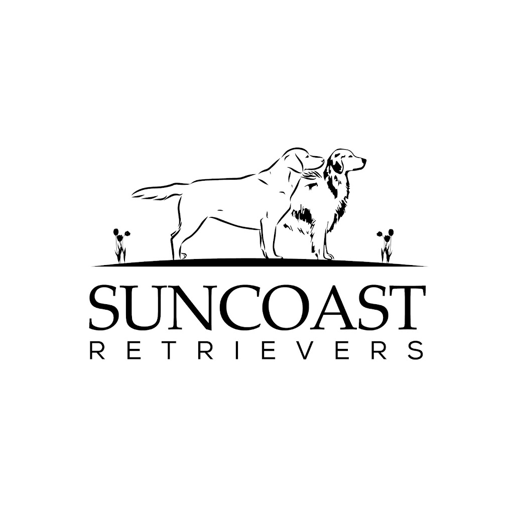 Suncoast Retrievers |  | Merimist Way, Kiels Mountain QLD 4559, Australia | 0401071828 OR +61 401 071 828