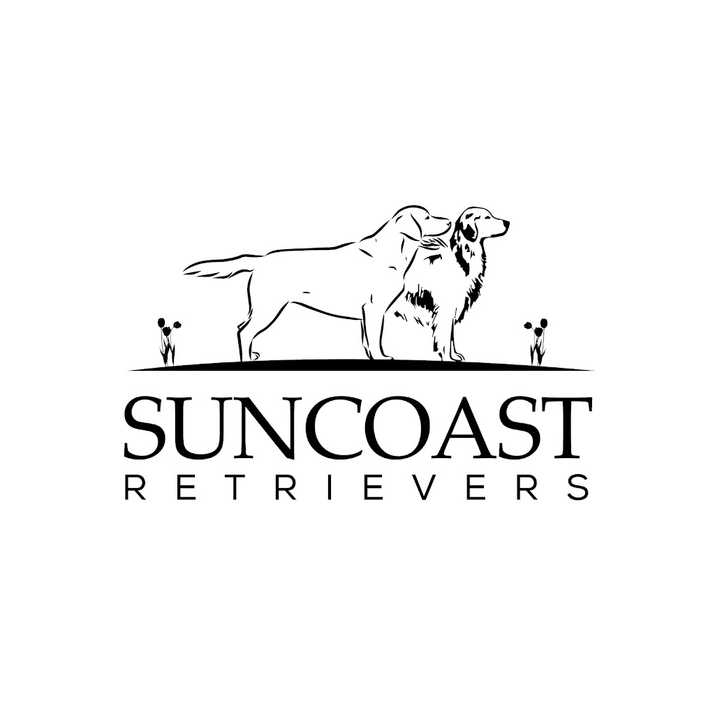 Suncoast Retrievers | Merimist Way, Kiels Mountain QLD 4559, Australia | Phone: 0401 071 828