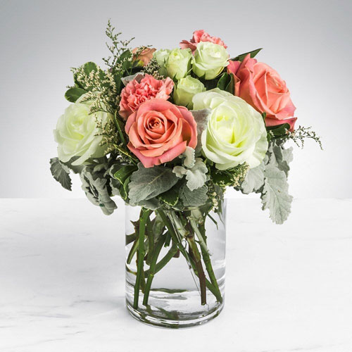 Captainshop | Flower Delivery Sydney & Best Florist | 55 Albert St, Freshwater NSW 2096, Australia | Phone: (02) 9905 3577