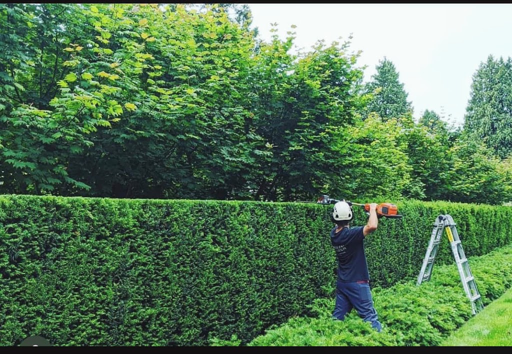 Tiger tree care | 90 Carlton Beach Rd, Dodges Ferry TAS 7173, Australia | Phone: 0457 585 139