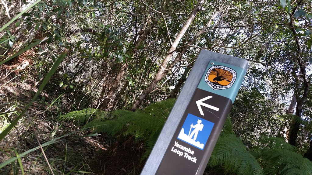 Yeramba Loop Track | park | Yeramba Lagoon Walking Track, Picnic Point NSW 2213, Australia | 1300361967 OR +61 1300 361 967