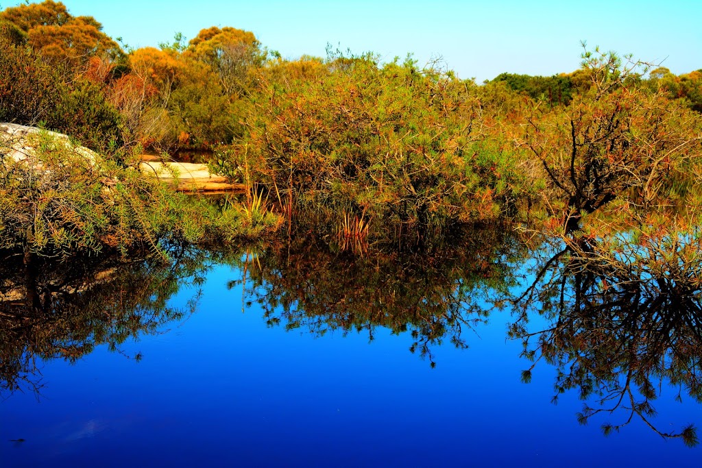 Old Quarry Swamp | park | Manly NSW 2095, Australia