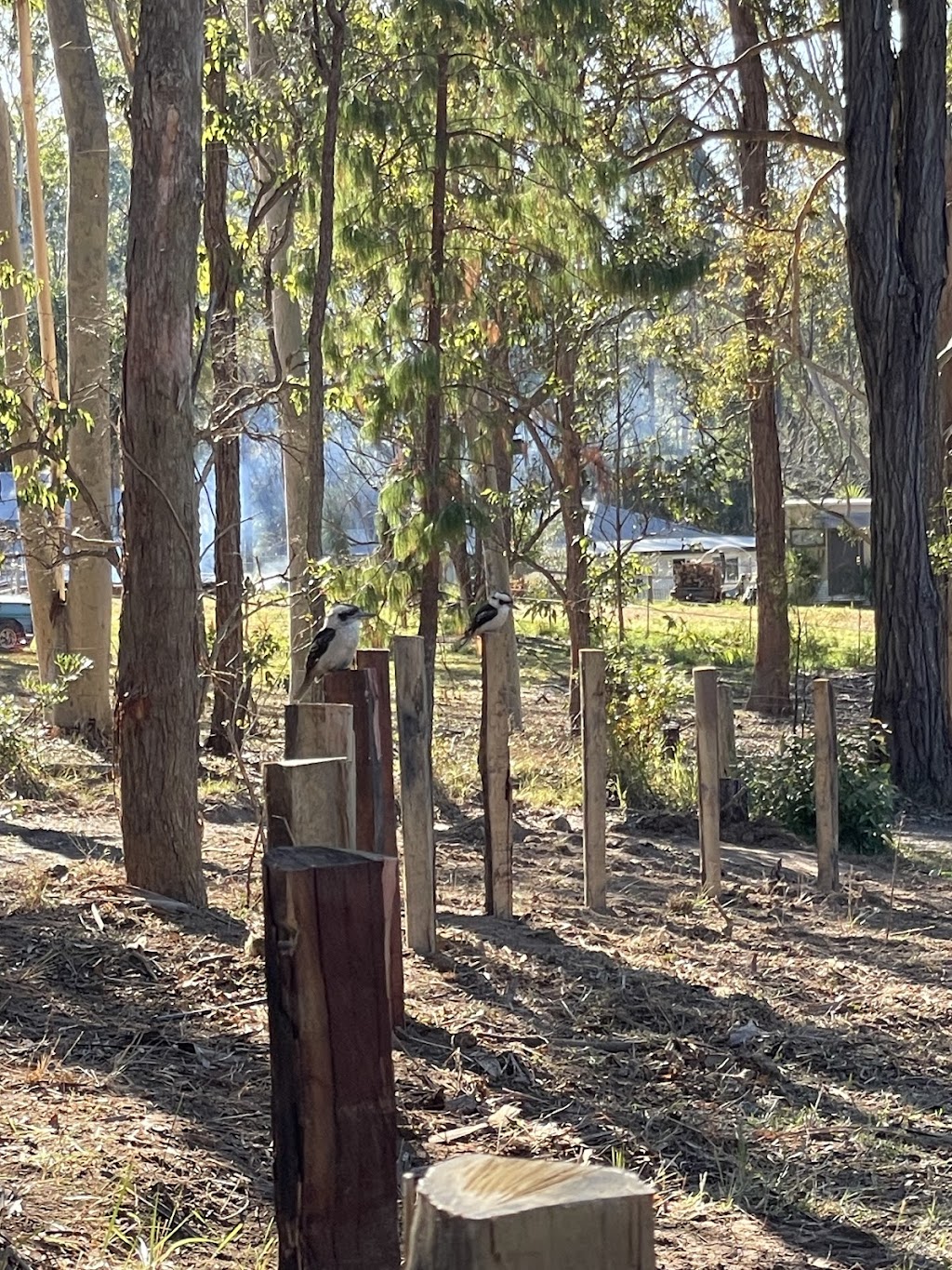 Kookaburra Rural Services | 222 Durren Rd, Jilliby NSW 2259, Australia | Phone: 0408 684 373