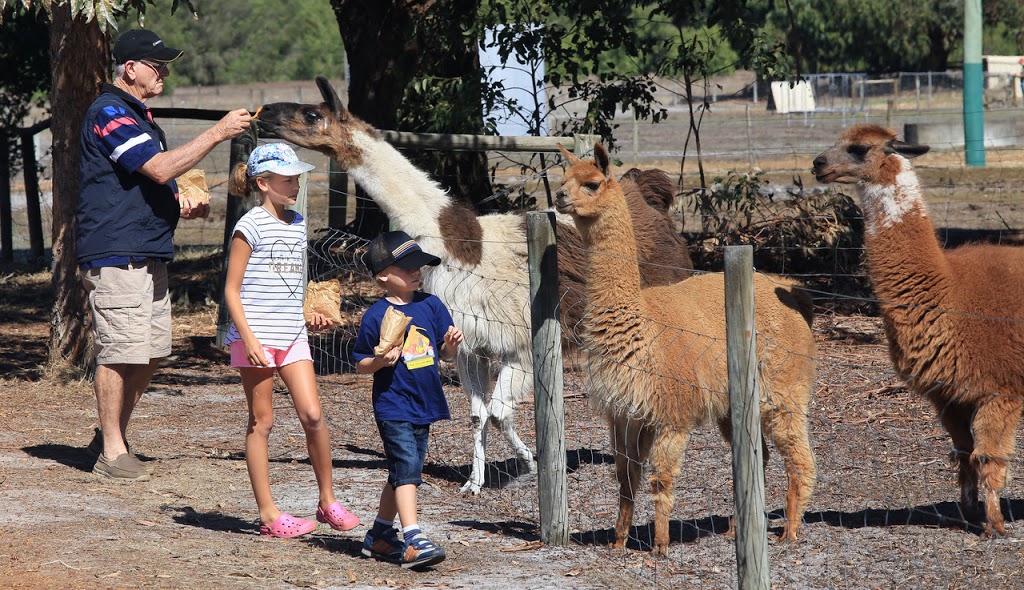 Wonky Windmill Farm | 218 Yelverton N Rd, Yelverton WA 6280, Australia | Phone: (08) 9755 7201