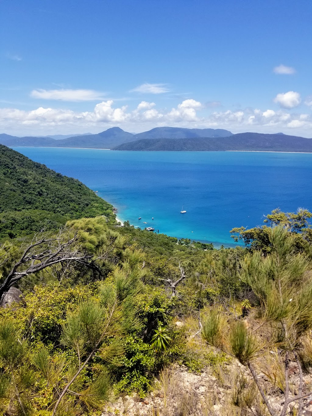 Fitzroy Island National Park | Fitzroy Island QLD 4871, Australia | Phone: 13 74 68