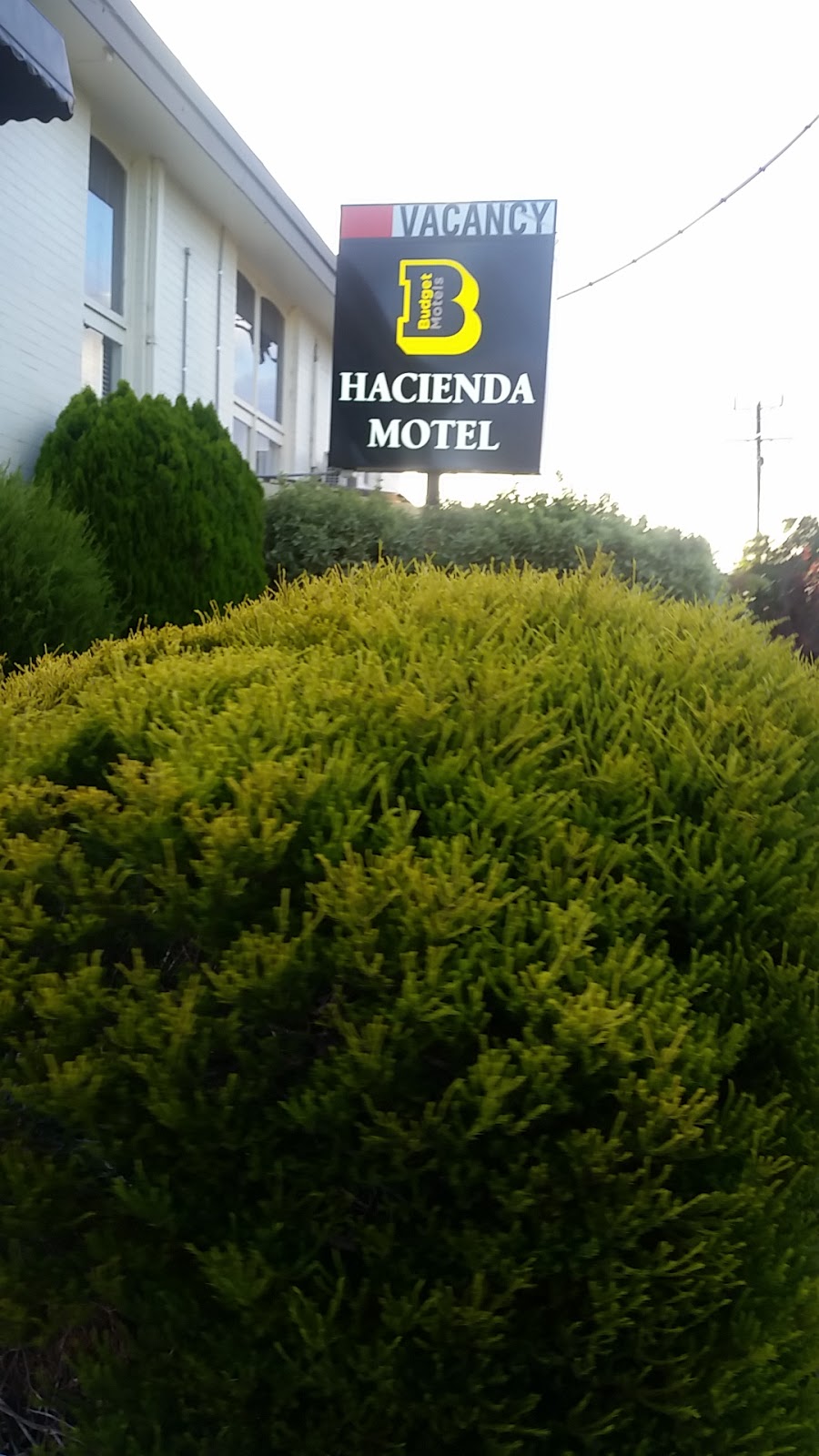 Hacienda Motel Geelong | lodging | 15 Mt Pleasant Rd, Geelong VIC 3216, Australia | 0352435844 OR +61 3 5243 5844