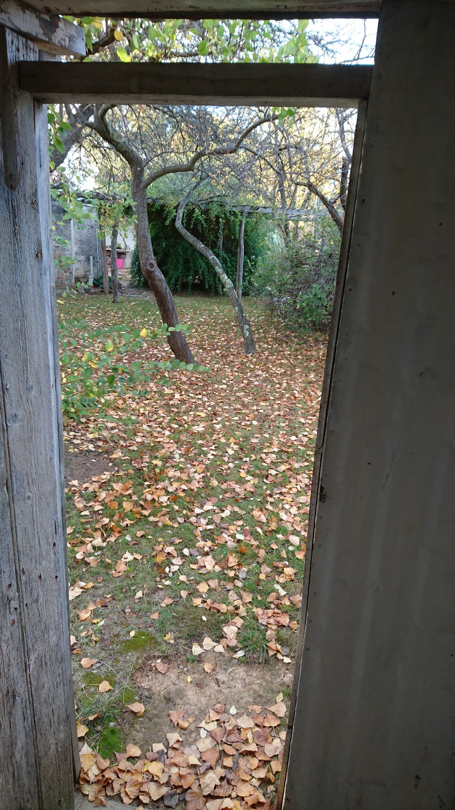 Haefligers Cottage Artists in Residence Program | Hill End NSW 2850, Australia | Phone: (02) 6333 6555