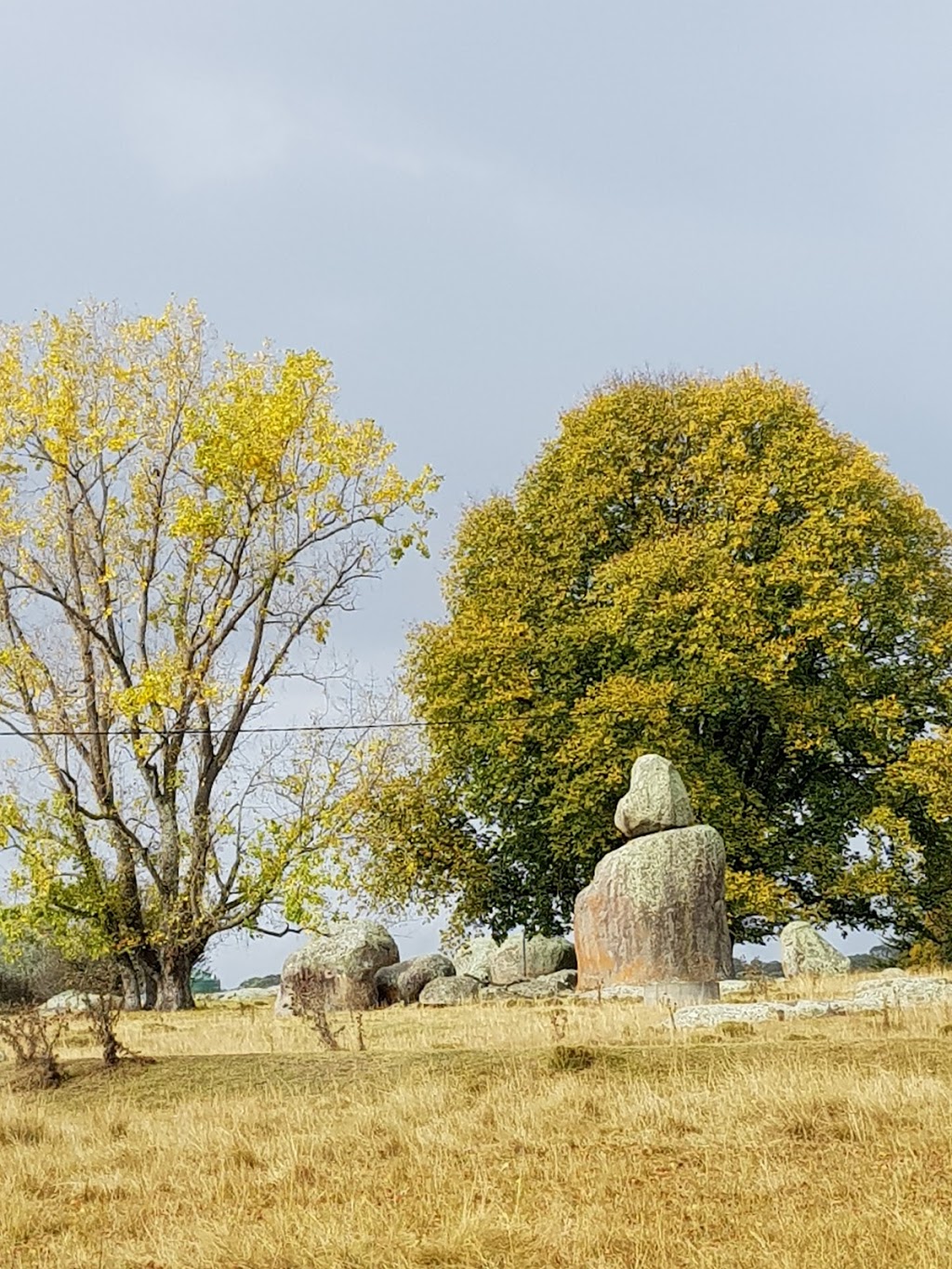 Stonehenge Recreation Reserve | park | 9003 New England Hwy, Stonehenge NSW 2370, Australia | 0267302400 OR +61 2 6730 2400