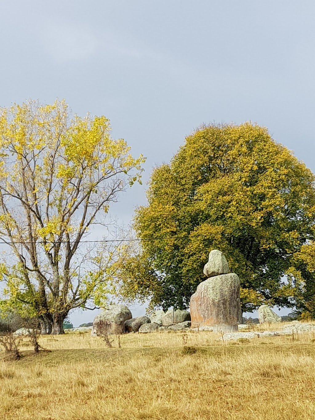 Stonehenge Recreation Reserve | 9003 New England Hwy, Stonehenge NSW 2370, Australia | Phone: (02) 6730 2400