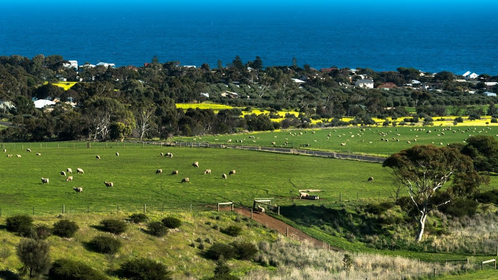 Poplar Grove Wholesale Nursery | LOT 2 Ranfurly Ave, Sellicks Beach SA 5174, Australia | Phone: (08) 8557 4109