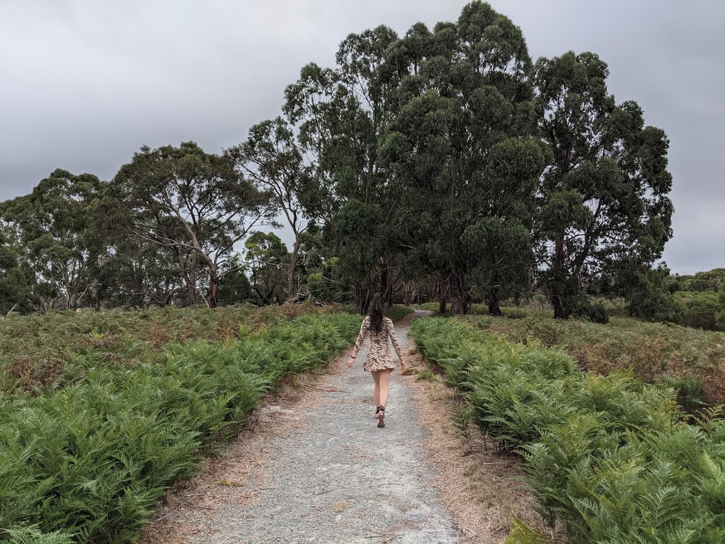 Stringybark Picnic Area |  | Stringybark Dr, Junction Village VIC 3977, Australia | 0359902200 OR +61 3 5990 2200