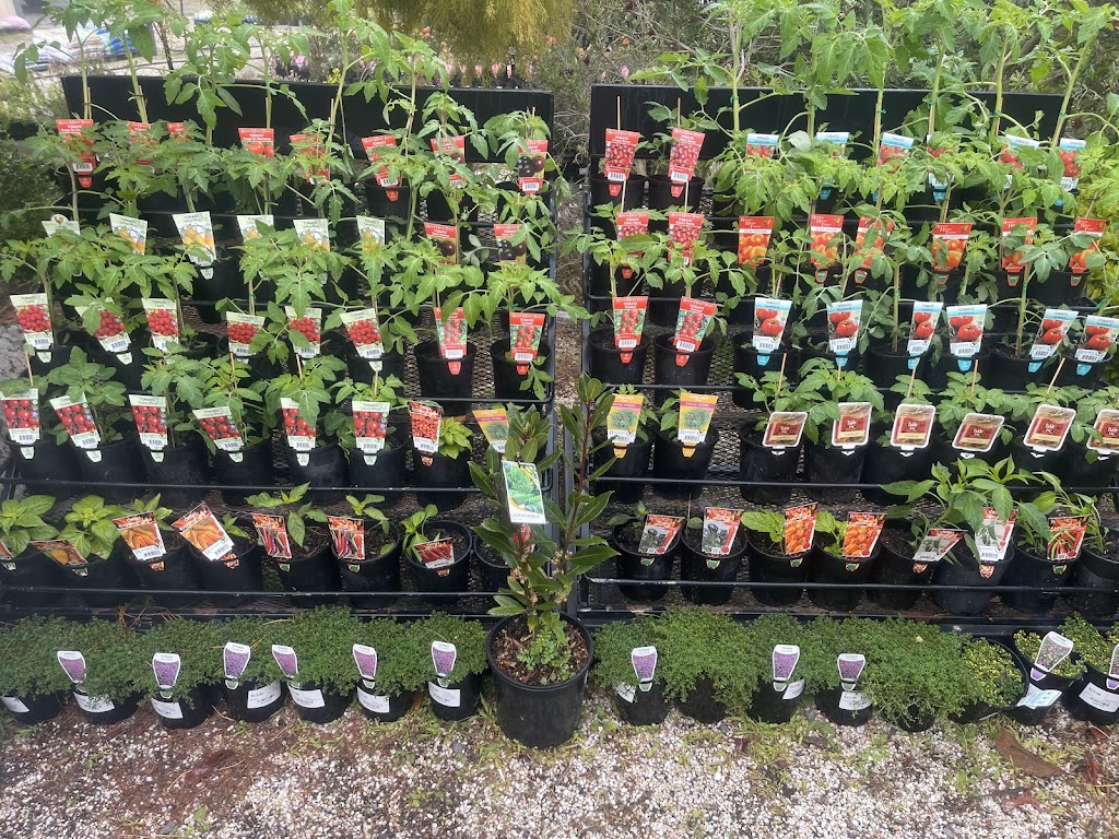 Aussie Outdoor Nursery & Emporium Ballarat | 9527 Western Fwy, Warrenheip VIC 3352, Australia | Phone: (03) 5331 8272