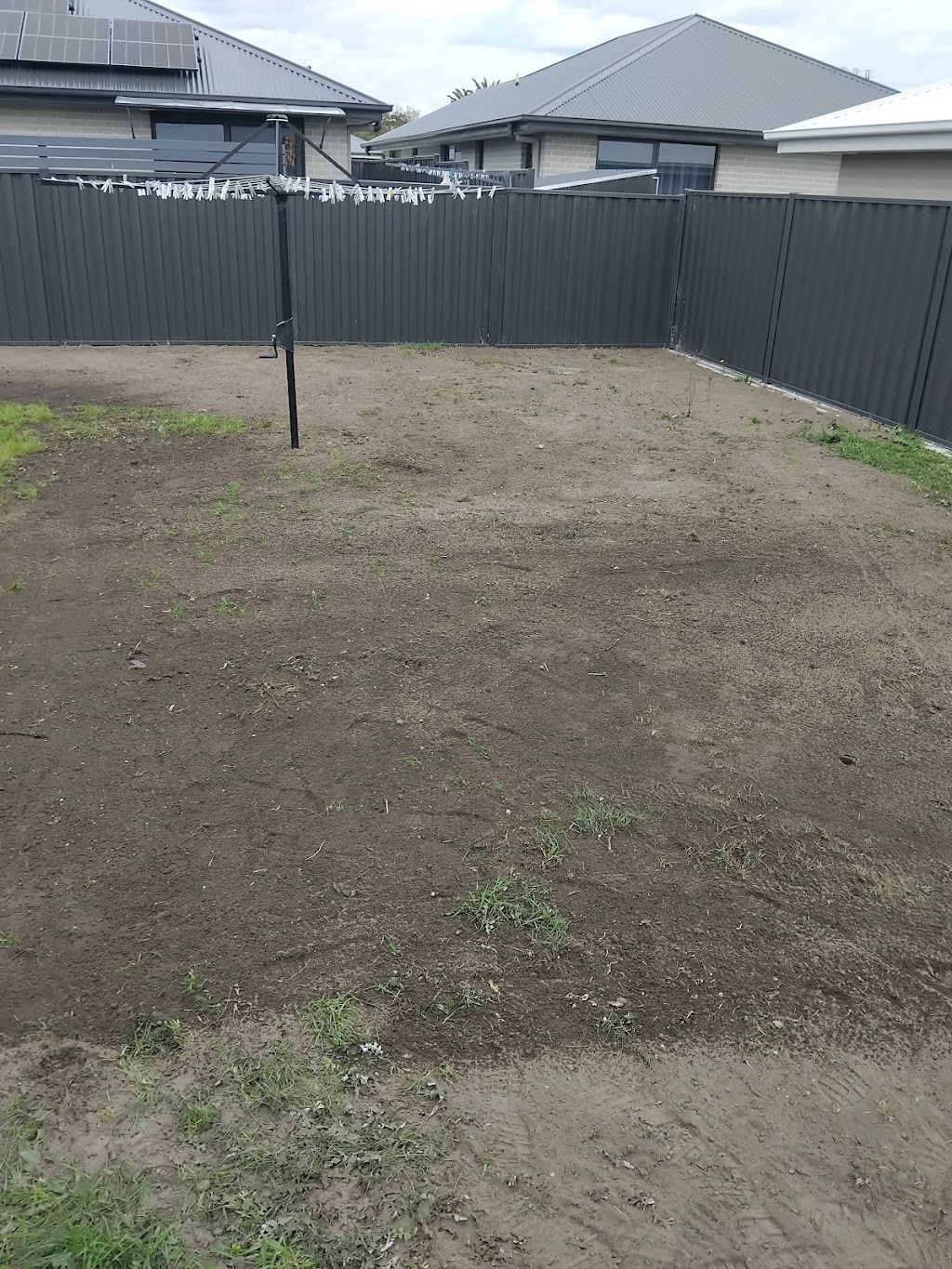 Northern mini diggers | 1306 Dalrymple Rd, Mount Direction TAS 7252, Australia | Phone: 0498 062 344