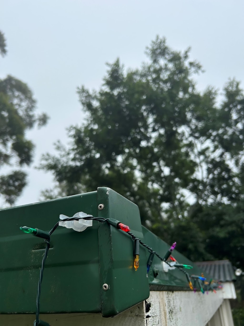 Obsessed With Christmas | 112 Shoesmith Rd, Westbrook QLD 4350, Australia | Phone: 0401 213 035