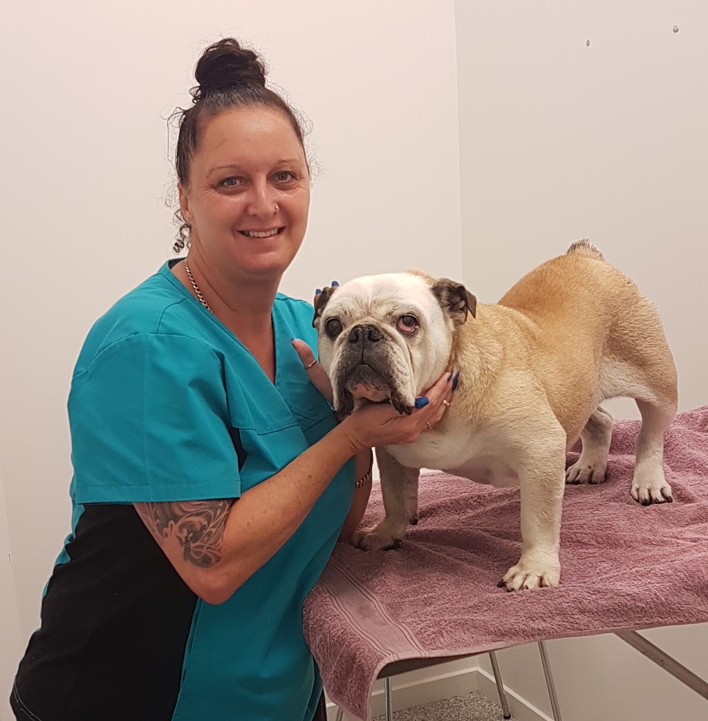 Oxenford Veterinary Surgery | veterinary care | 7/1 Cottonwood Pl, Oxenford QLD 4210, Australia | 0755731414 OR +61 7 5573 1414