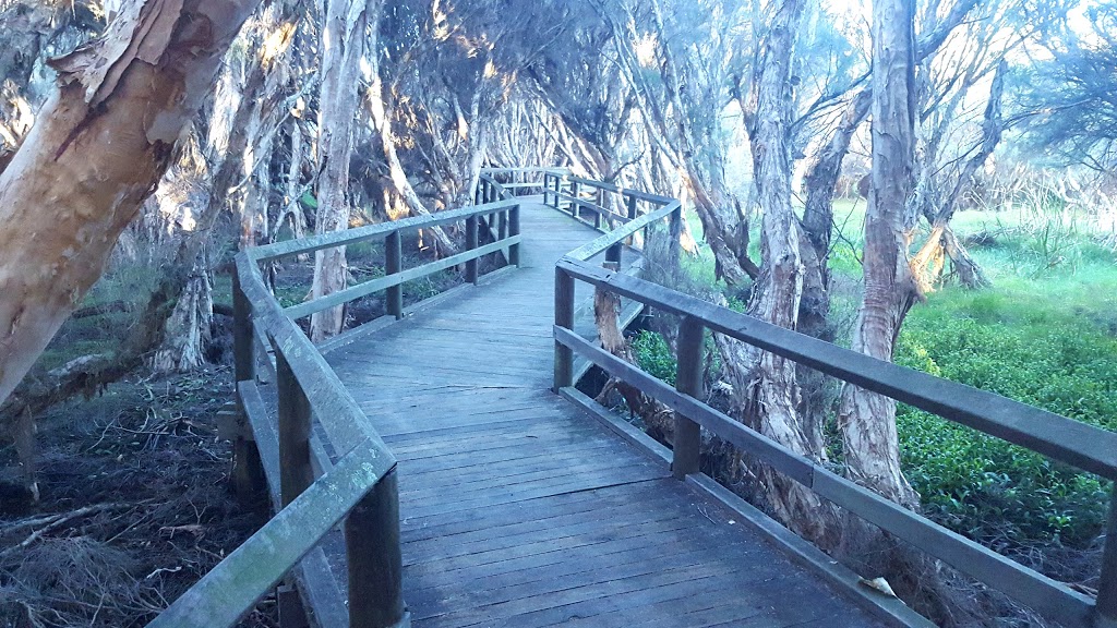 Big Swamp Bird Watching Platform | park | Big Swamp Reserve, South Bunbury WA 6230, Australia