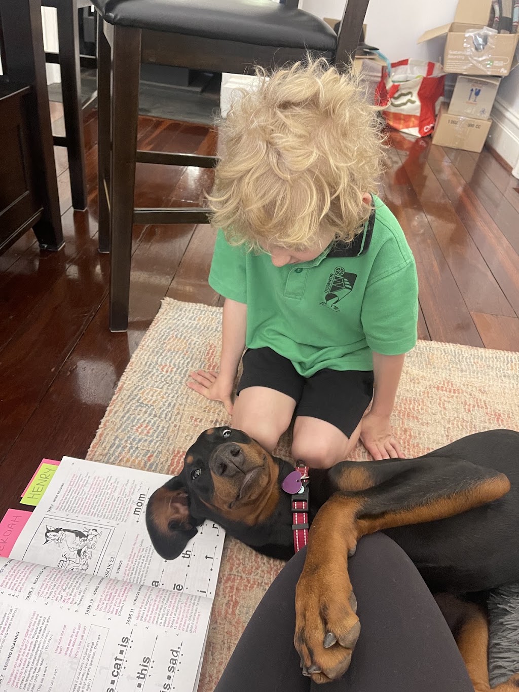 Breakthrough Education and Equine Academy | 379 Piccadilly St, West Lamington WA 6430, Australia | Phone: 0407 271 821