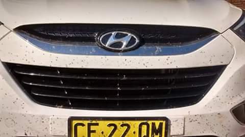 Bugsoff.wash | car wash | 3/32 Ingebyra St, Jindabyne NSW 2627, Australia | 0484008892 OR +61 484 008 892