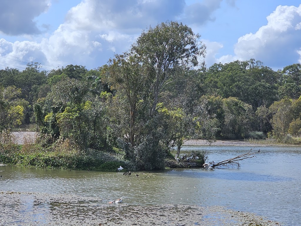 SW1 – Berrinba Wetlands | Wayne Goss Dr, Browns Plains QLD 4118, Australia | Phone: (07) 2899 7353