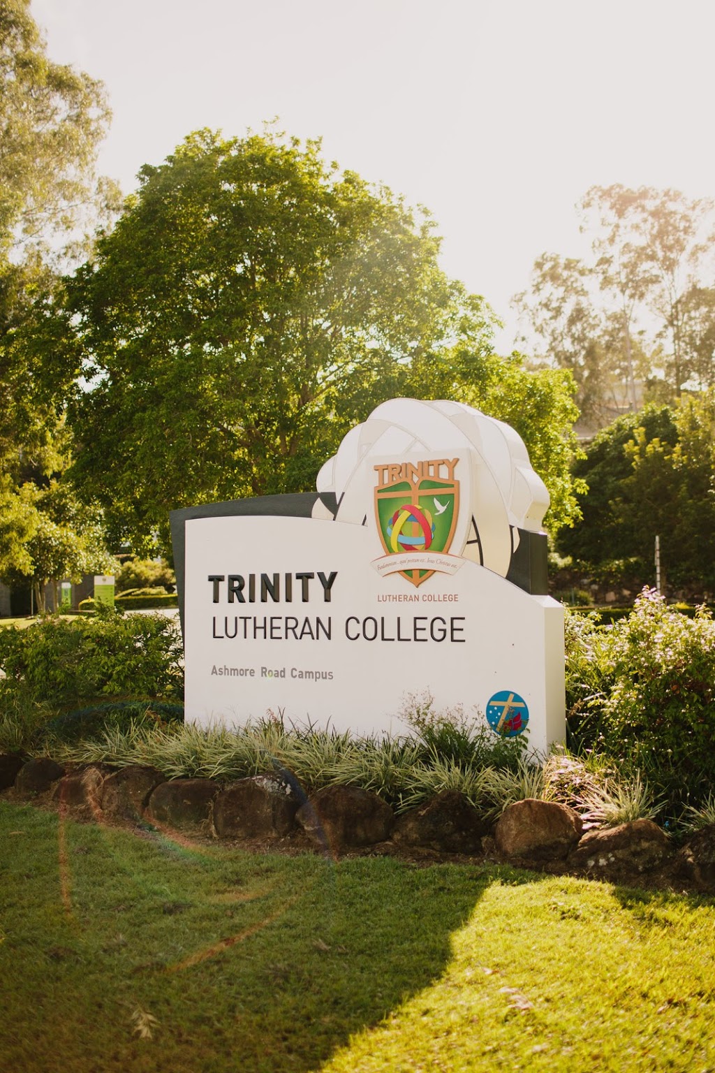Trinity Lutheran College Ashmore Rd Campus | university | 641 Ashmore Rd, Molendinar QLD 4214, Australia | 0755568200 OR +61 7 5556 8200