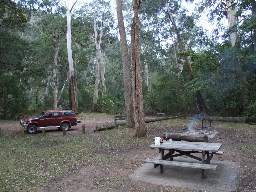 Lake Creek Camping Area | campground | Bourkes Rd, Wadbilliga NSW 2546, Australia