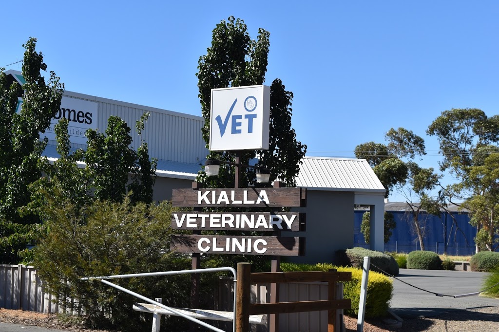 Kialla Veterinary Clinic | veterinary care | 7966 Goulburn Valley Hwy, Kialla VIC 3631, Australia | 0358231202 OR +61 3 5823 1202