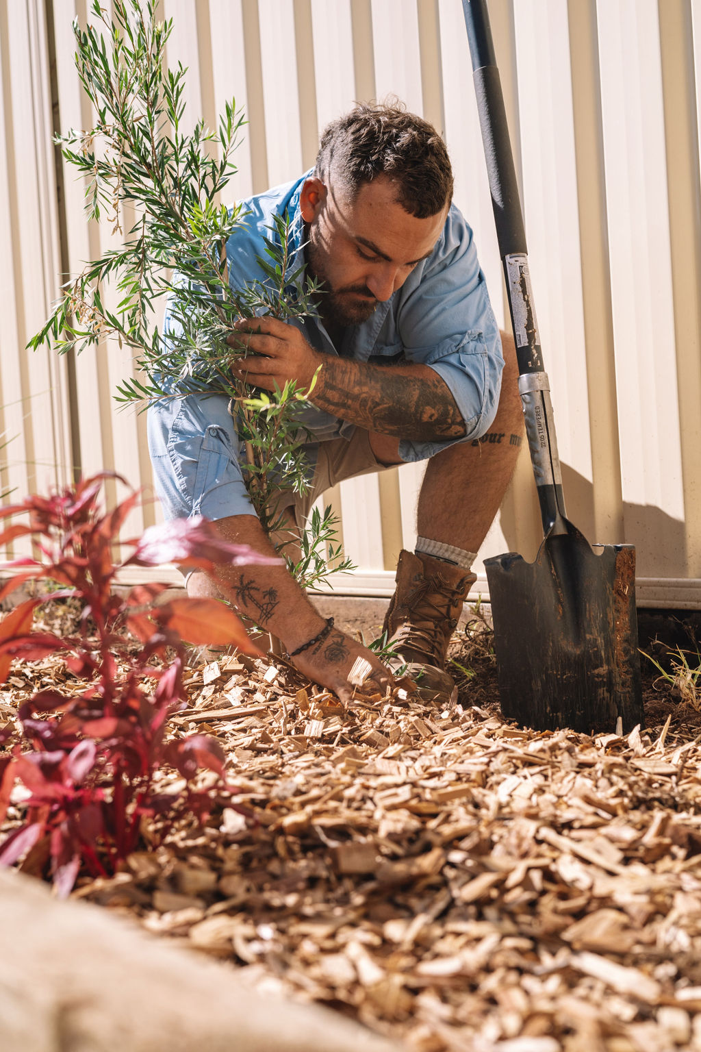 Dubbo yard maintenance | 6 Drysdale Cl, Dubbo NSW 2830, Australia | Phone: 0458 587 452