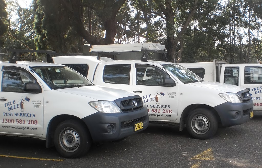 True Blue Pest Services | 15 Browns Ave, Enmore NSW 2042, Australia | Phone: 1300 581 288