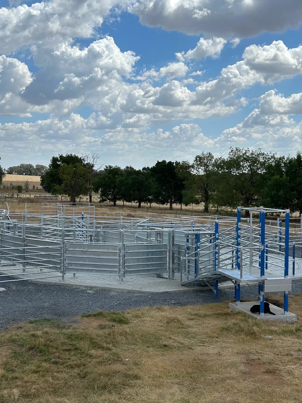 Frontier Rural Fencing | 14 Brownrigg St, Morven NSW 2660, Australia | Phone: 0408 986 474