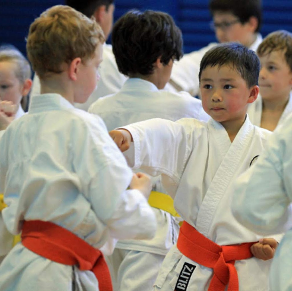 Karate for Kids | health | 2 Bradfield Rd, West Lindfield NSW 2070, Australia | 0412305959 OR +61 412 305 959