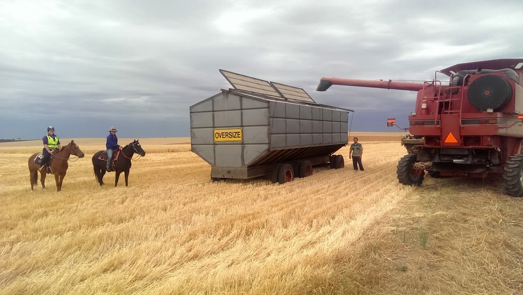 Monta Flora | 931 Salter Springs Rd, Salter Springs SA 5401, Australia | Phone: 0428 286 097