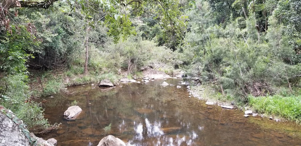 Eungella National Park | park | Queensland, Australia