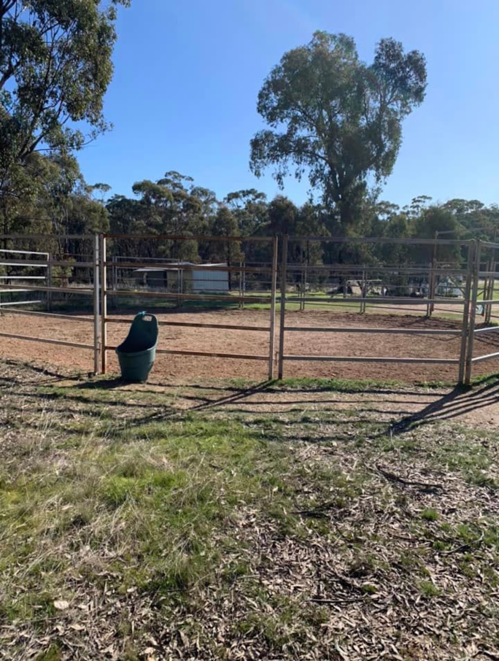 Terry Smith Horse Agistment | 66 Hogans Rd, Sedgwick VIC 3551, Australia | Phone: (03) 5439 4144