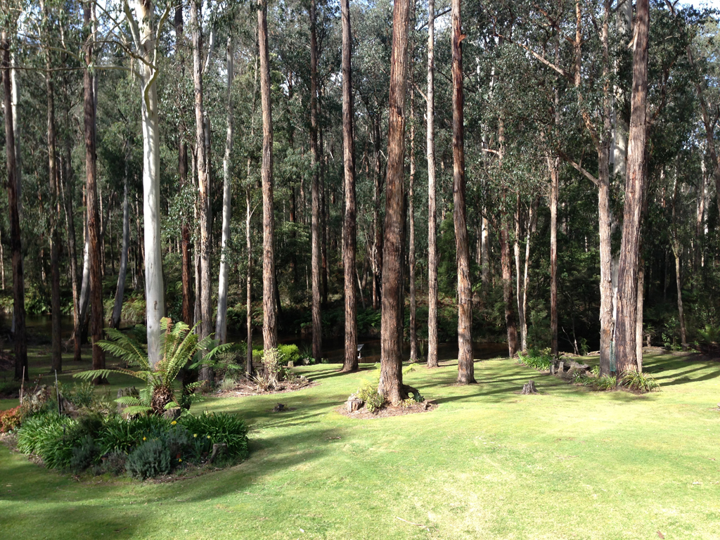 Riverside Estate Noojee | 125 School Rd, Noojee VIC 3833, Australia | Phone: 0434 999 000