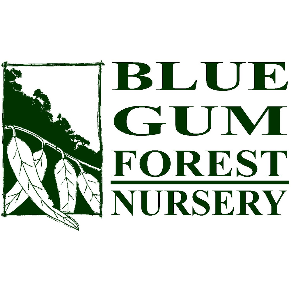 Blue Gum Forest Nursery | 285 Korumburra-Warragul Rd, Korumburra VIC 3950, Australia | Phone: 0408 595 450