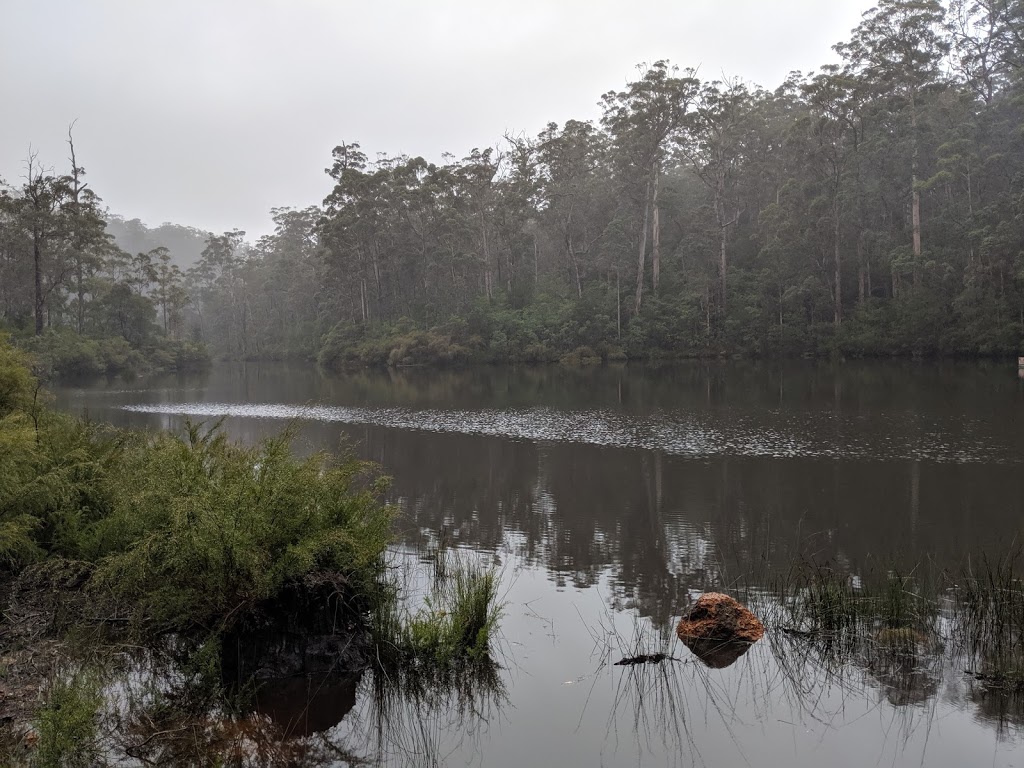 Shannon Dam | Unnamed Road, Lake Muir WA 6258, Australia