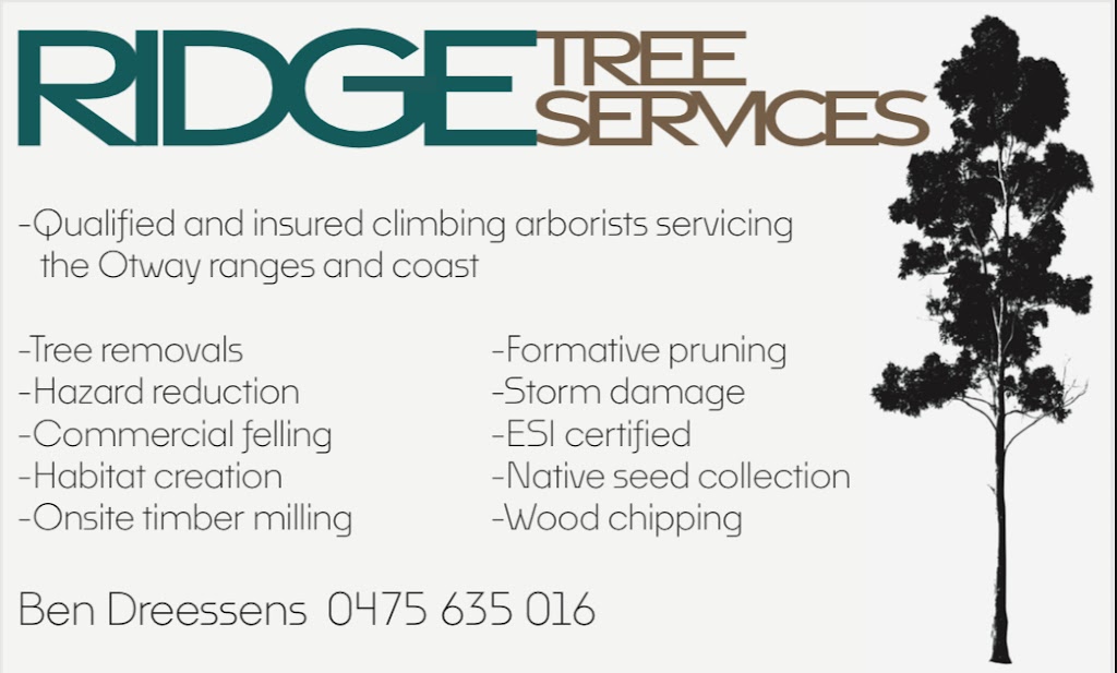 Ridge Tree Services | 2-6 Great Ocean Rd, Lavers Hill VIC 3238, Australia | Phone: 0475 635 016